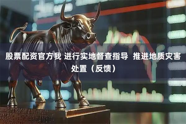 股票配资官方我 进行实地督查指导  推进地质灾害处置（反馈）