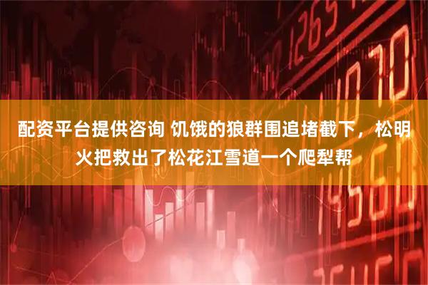配资平台提供咨询 饥饿的狼群围追堵截下，松明火把救出了松花江雪道一个爬犁帮
